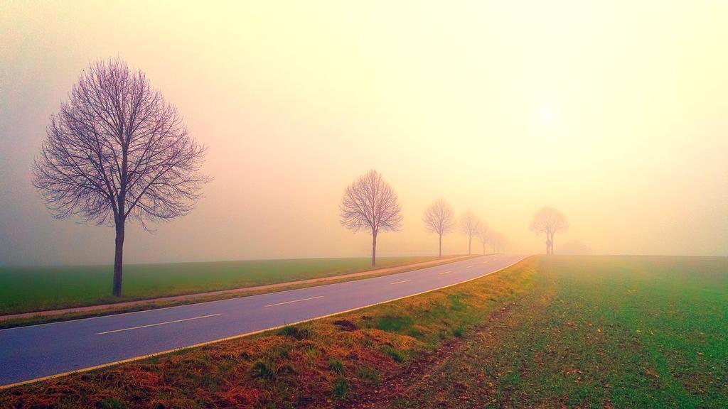 30-day satisfaction guarantee