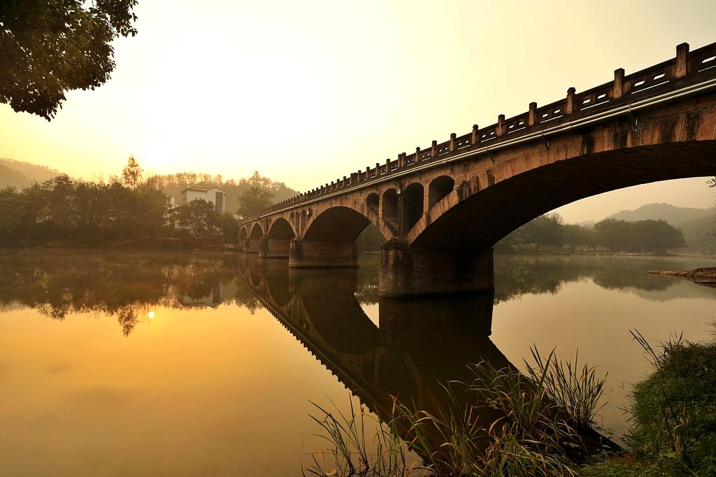 Minimalist morning reset corner with small plant and journal