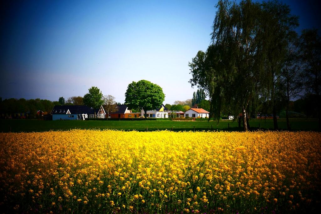 Beautifully organized morning reset corner with plants and natural lighting