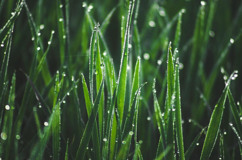 Photo of Emma, founder of fawefiu